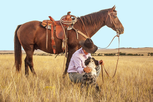 Ride into Style with Western Stud Earrings: How the Wild West Inspires Fashion Today