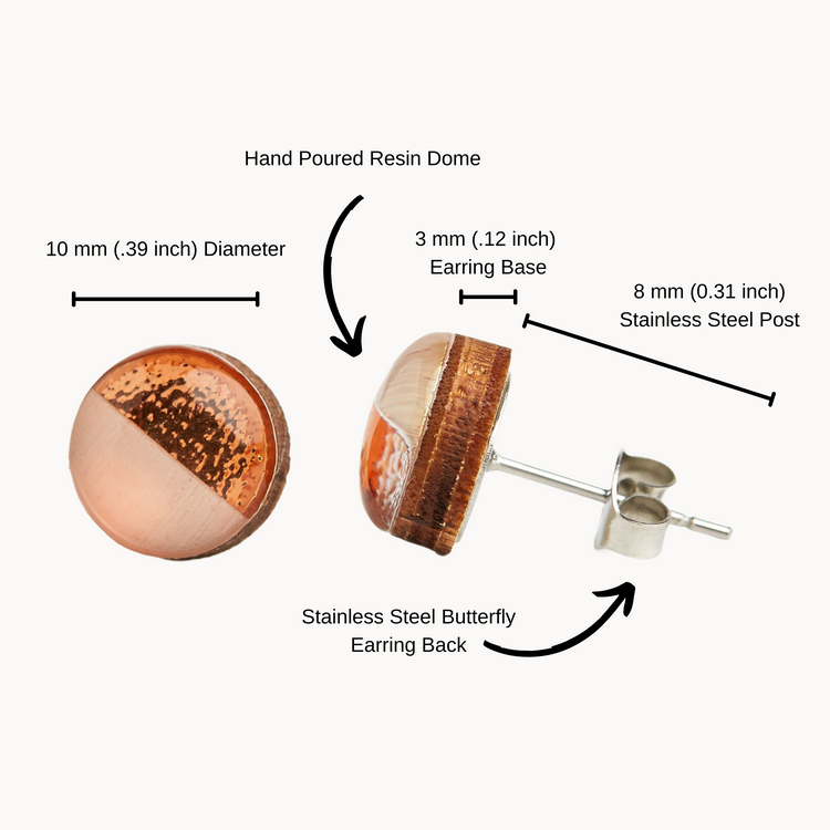 candi cove designs stainless steel hypoallergenic stud earrings for women and girls