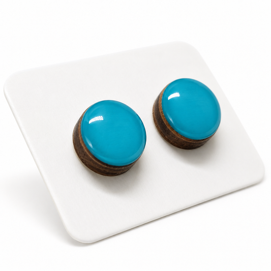 Desert Turquoise Stud Earrings by Candi Cove Designs