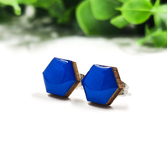 Bold Blue Hexagon Candi Cove Designs Fashion earrings Studs small earrings Studs for ears Everyday Simple Stud Earrings for Women and Girls with Sensitive Ears ear rings 