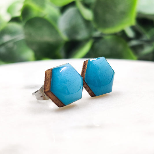 Desert Turquoise Hexagon 10 mm Stud Earrings, Handmade, Stainless Steel Posts for Sensitive Ears - Candi Cove Designs 